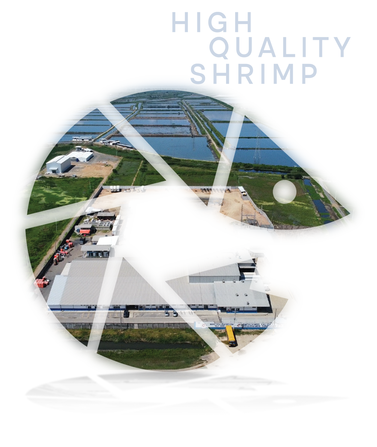 Empresa https://totalseafood.com.ec/en/wp-content/uploads/2025/07/Empresa-3.png