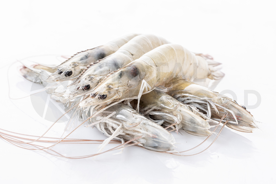 https://totalseafood.com.ec/en/wp-content/uploads/2025/07/ProdCECC.jpg