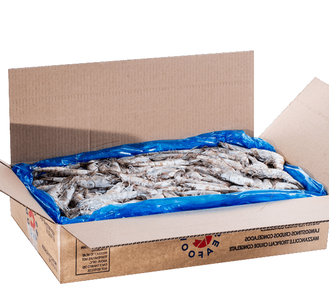 https://totalseafood.com.ec/en/wp-content/uploads/2025/07/ProdSalmu-640x600.png