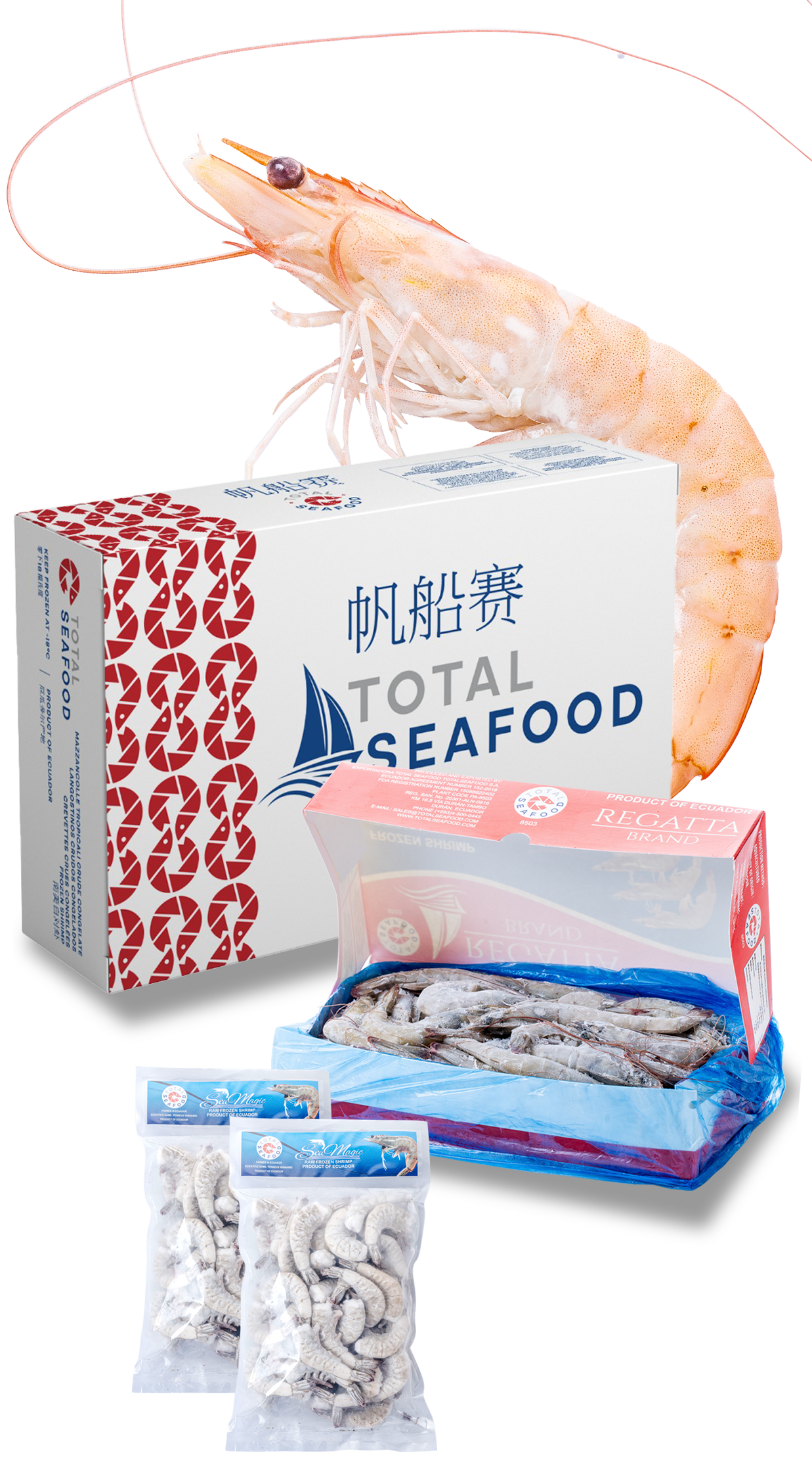 https://totalseafood.com.ec/en/wp-content/uploads/2025/08/CongeladosVERTICAL.png