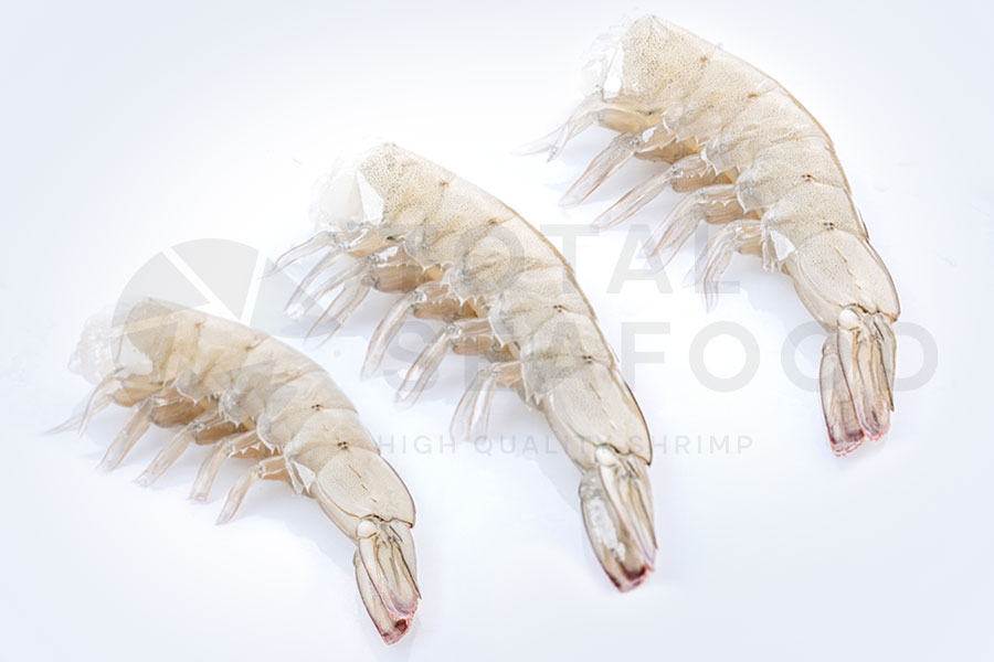 https://totalseafood.com.ec/en/wp-content/uploads/2025/08/ProdCCCC-1.jpg